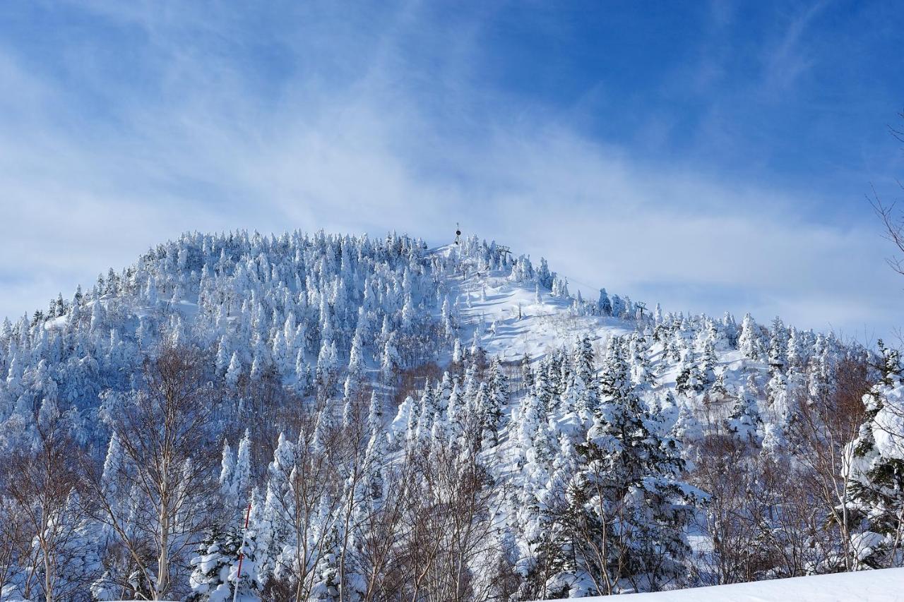 Shiga Kogen Olympic Hotel Yamanouchi  Eksteriør billede